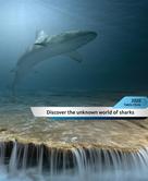 Christos Taklis: Discover the unknown world of sharks! 