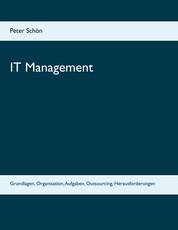IT Management - Grundlagen, Organisation, Aufgaben, Outsourcing, Herausforderungen