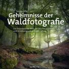 Yvonne Albe: Geheimnisse der Waldfotografie 