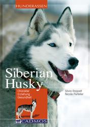 Siberian Husky - Charakter, Erziehung, Gesundheit