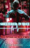 Svea Lundberg: Sheltered in blue: Wenn Vertrauen aus Verrat erwächst ★★★★★