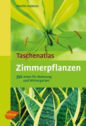 Zimmerpflanzen - 350 Arten für Wohnung und Wintergarten