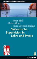 Heiko Kleve: Systemische Supervision in Lehre und Praxis 