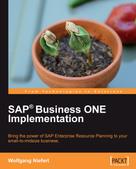 Wolfgang Niefert: SAP Business ONE Implementation 