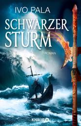 Schwarzer Sturm - Roman