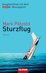 Sturzflug - Roman