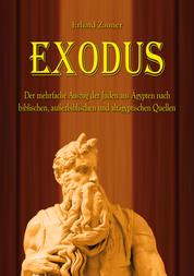 Exodus - Der mehrfache Auszug der Juden aus Ägypten nach biblischen, außerbiblischen und altägyptischen Quellen