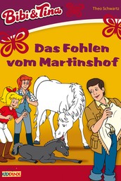 Bibi & Tina - Das Fohlen vom Martinshof - Roman zum Hörspiel