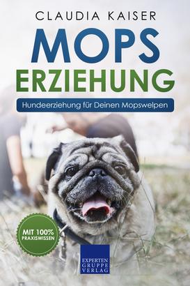 Mops Erziehung - Hundeerziehung für Deinen Mops Welpen