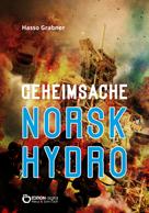 Hasso Grabner: Geheimsache Norsk Hydro 