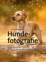 Hundefotografie - Die besten Tipps für das perfekte Hundefoto