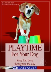 Playtime for your dog - Keep him busy throughout the day