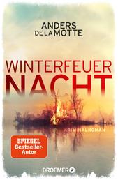 Winterfeuernacht - Kriminalroman