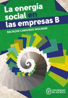 Baltazar Caravedo Molinar: La energía social en las empresas B 