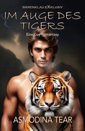Im Auge des Tigers – Eine Gay-Romantasy