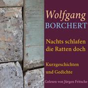 Wolfgang Borchert: Nachts schlafen die Ratten doch - Kurzgeschichten und Gedichte