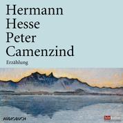 Peter Camenzind - Erzählung