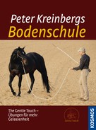 Peter Kreinberg: Peter Kreinbergs Bodenschule 