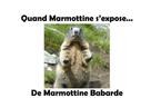 Marmottine Babarde: Quand Marmottine s'expose 