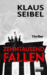 Zehntausend Fallen - Ellen Faber Thriller 2