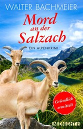 Mord an der Salzach - Ein Alpenkrimi