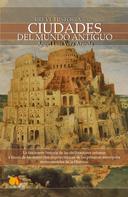 Angel Luis Vera Aranda: Breve Historia de las ciudades del Mundo Antiguo 