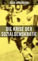 Rosa Luxemburg: Die Krise der Sozialdemokratie 