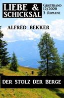 Alfred Bekker: Der Stolz der Berge: Liebe & Schicksal Großband 12/2020 