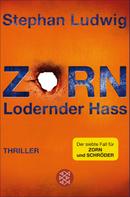 Stephan Ludwig: Zorn - Lodernder Hass ★★★★★
