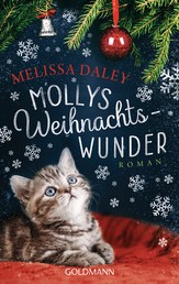 Mollys Weihnachtswunder - Roman