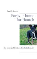 Gabriela Gamma: Forever home for Hootch 