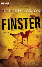 Finster - Roman