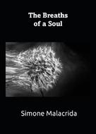 Simone Malacrida: The Breaths of a Soul 