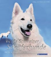 Weiße Schweizer Schäferhunde - Aktiv, sportlich, anhänglich