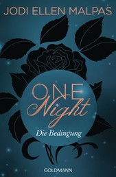One Night - Die Bedingung - Erotischer Roman