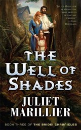 The Well of Shades - Book Three of The Bridei Chronicles