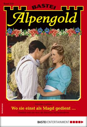 Alpengold 310 - Heimatroman