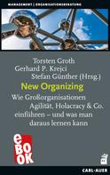 Stefan Günther: New Organizing 