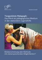 Daniela Schmidt: Tiergestützte Pädagogik: Das Pferd als pädagogisches Medium in der stationären Jugendhilfe 