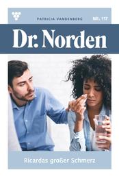 Ricardas großer Schmerz - Dr. Norden 117 – Arztroman