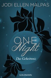 One Night - Das Geheimnis - Erotischer Roman
