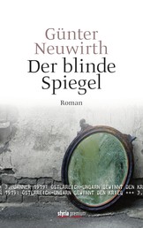 Der blinde Spiegel - Roman