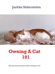 Owning A Cat 101 - All you need to know about cats and owning one