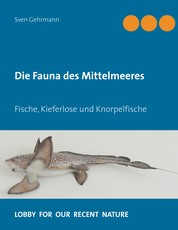 Die Fauna des Mittelmeeres - Fische, Kieferlose und Knorpelfische