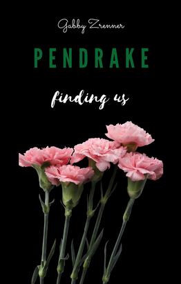 Pendrake 3- finding us