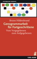 Bruno Hildenbrand: Genogrammarbeit für Fortgeschrittene 