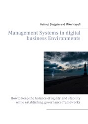 Management Systems in digital business Environments - Howto keep the balance of agility and stability while establishing governance frameworks