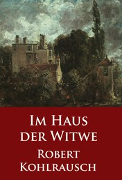 Im Haus der Witwe - historischer Roman / Krimi