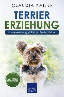 Terrier Erziehung: Hundeerziehung für Deinen Terrier Welpen