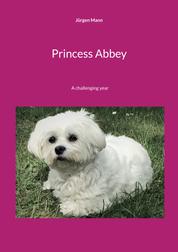 Princess Abbey - A challenging year